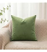 Q&J FABRIC CO. Velvet Decorative Throw Pillow Covers,Soft Square Cushion Case Solid Modern 18x18 ...