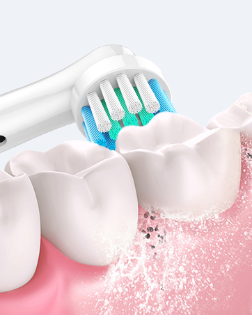 Replacement Toothbrush Heads