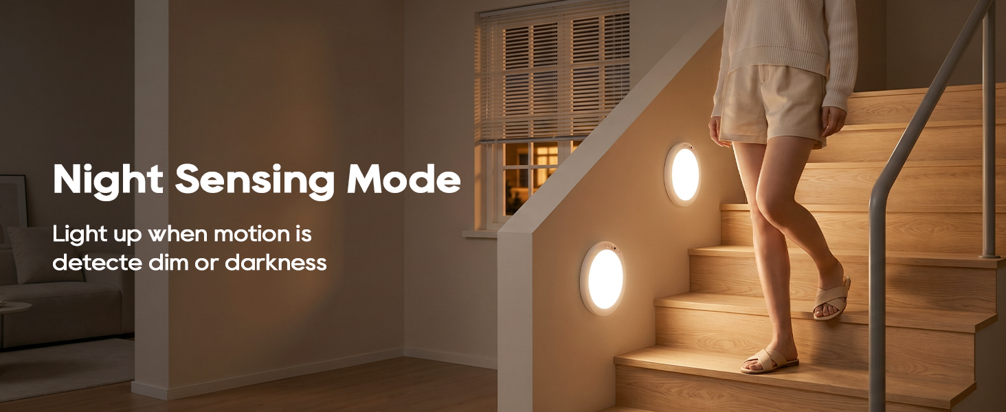 rechargeable motion sensor light
