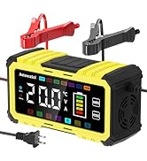 AeternaSol 20A 12V/24V Battery Charger LiFePO4 Lead Acid Battery Maintainer,Battery Desulfator wi...