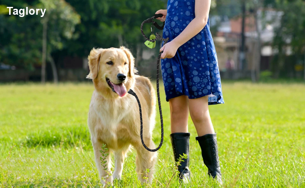 dog leash