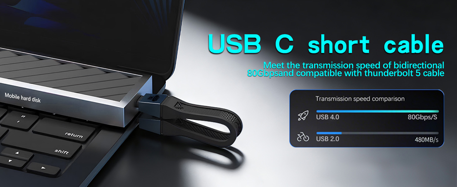 short usb c cable