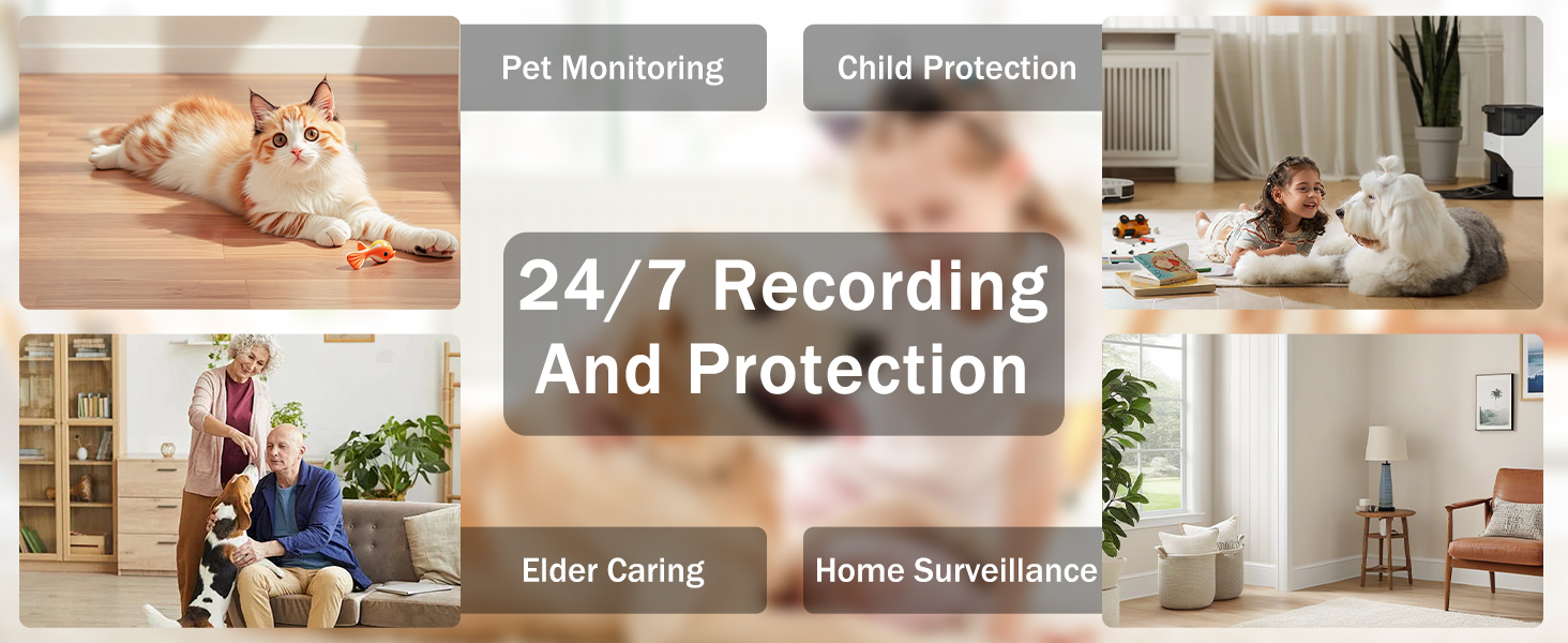 pet camera treat dispenser