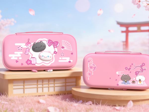 carrying case