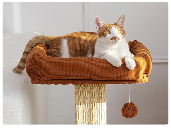 wooded cat tree