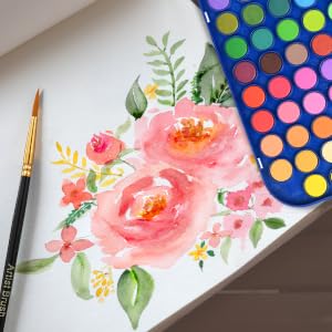 48 color watercolor painting set
