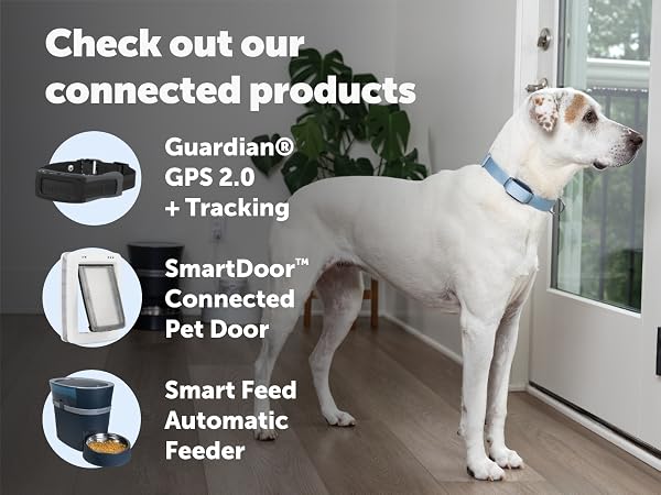 Check out other PetSafe connected products