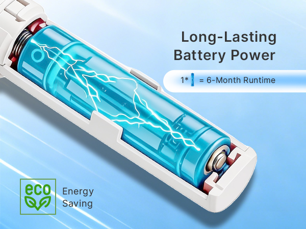 Long-Lasting Battery