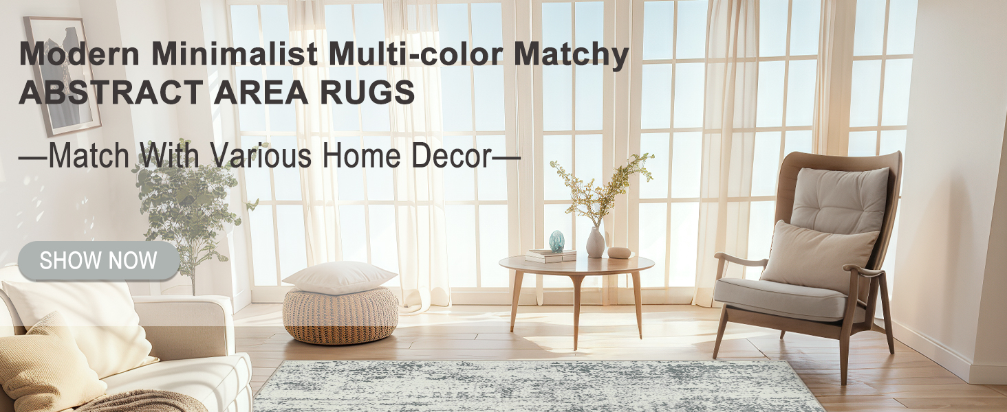 Modern living room rug