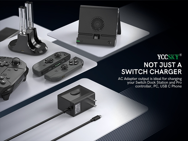 Nintendo switch charger