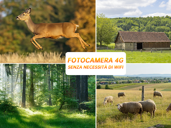 Composite image featuring a leaping deer, rustic barn, sunlit forest, and grazing sheep. Text overlay reads 'FOTOCAMERA 4G SENZA NECESSITA DI WIFI'.