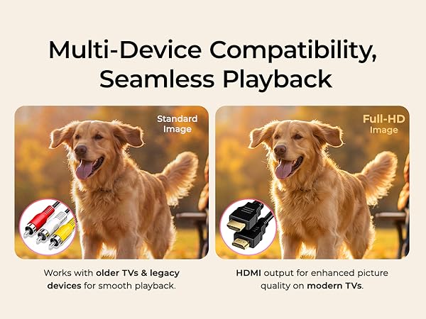 Multi-Device Compatibility, Seamless Playback