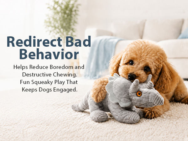 squeaky dog toys