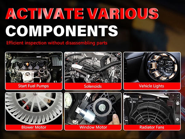 activate components