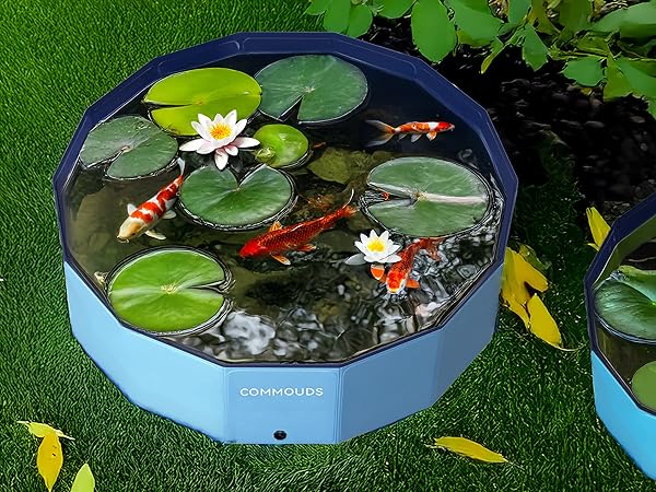 folding pool for dogs