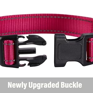 dog collar