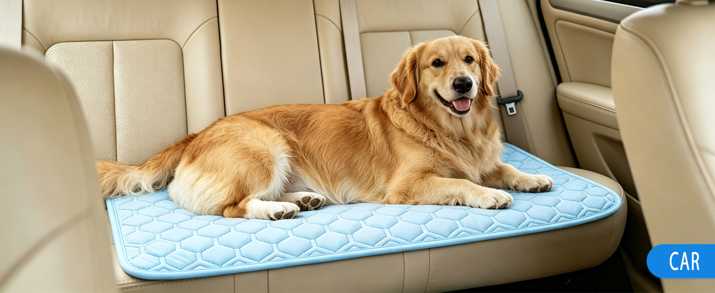 Dog cooling mat with high q max fabric prevents pets from overheating outdoors