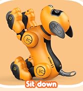 Dinopintu Smart Robot Dog Toys for Kids Voice Control Interactive Stunt Robots Pet Programmable R...