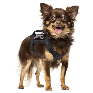 Tactical Dog Harness with Leash Tactical Puppy Vest with Rubber Handle K9 Military