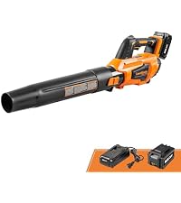 https://m.media-amazon.com/images/I/31OAsh7WPfL.__AC_SR200,225___.jpg
