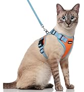 rabbitgoo Cat Harness and Leash Set, Escape Proof Soft Adjustable Vest Harnesses for Outdoor Walk...
