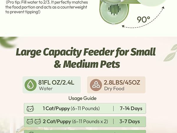 cat food feeder