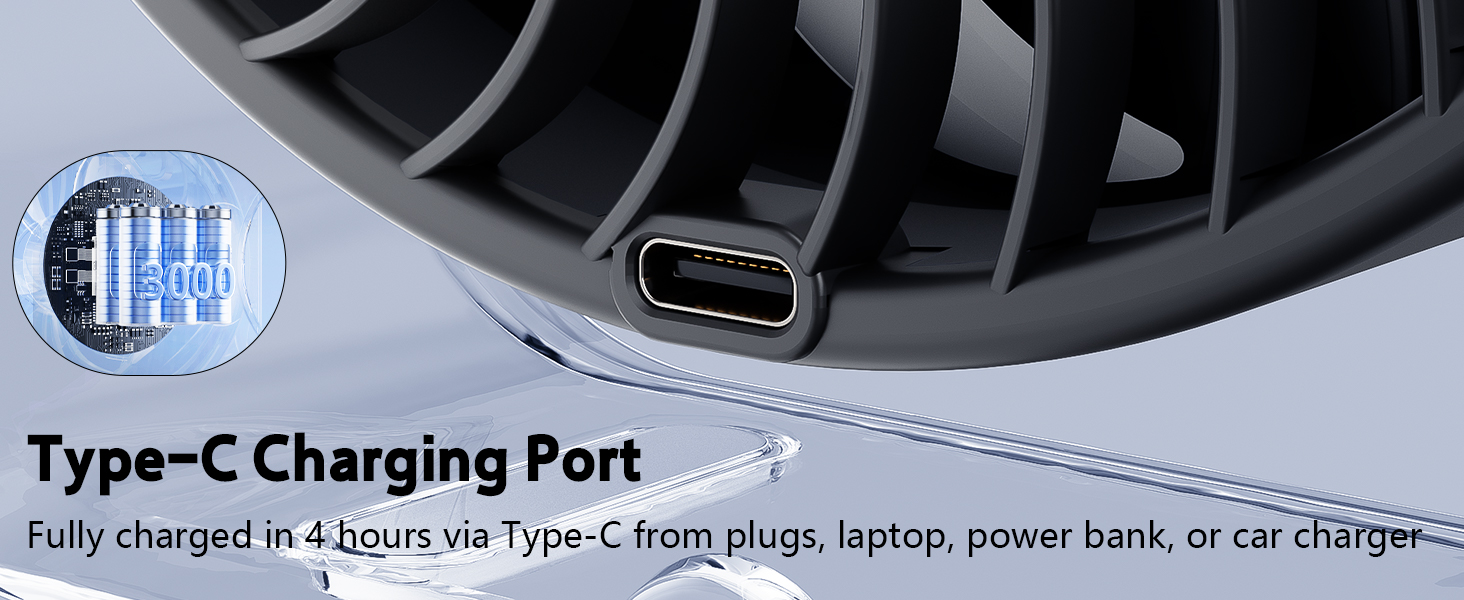 Type-C Charging Port