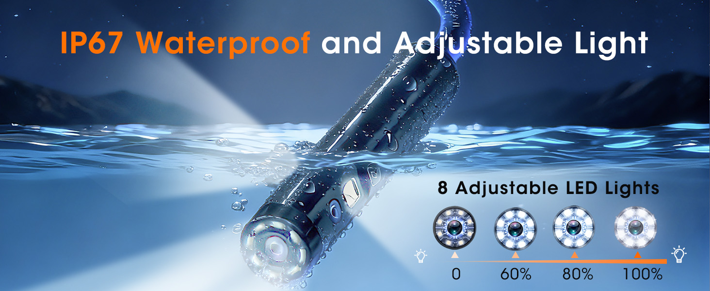 endoscope camera with light