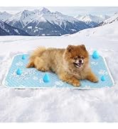 YQLKYMLO Cooling Mat for Small Dog, Waterpoof Q-Max>0.5 Breathable Cold Crate Pad for Puppy Cat, ...