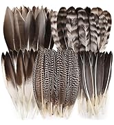 FeelfunFeather Pheasant Feathers -30pcs 5 Style Natural Mixed Decorative Spotted Feathers for DIY...