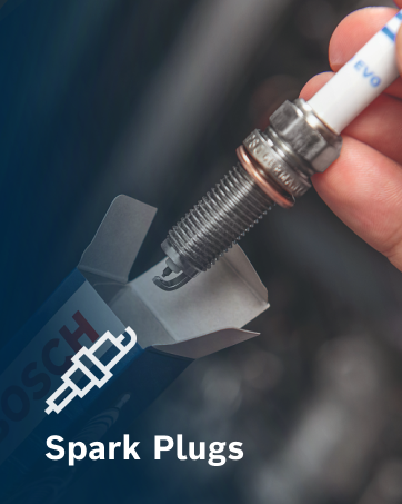 Spark Plugs
