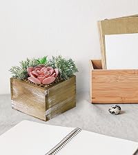 https://m.media-amazon.com/images/S/aplus-media-library-service-media/81d64bcd-102e-427c-9b62-c1aeafdd715c.__CR0,0,800,900_PT0_SX200_V1___.jpg