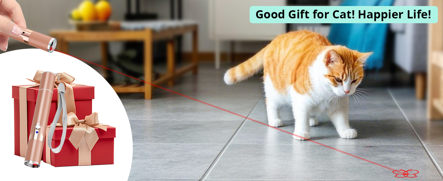 kitten cat toy