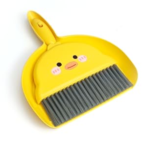 hand broom and dustpan set