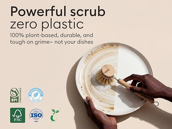 dish brush