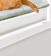 cat window perch