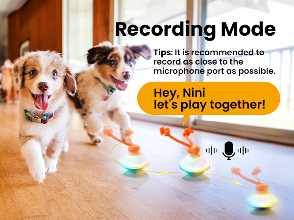 interactive dog toy