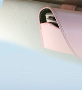 Sunglass Holder for Car Visor