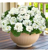 Artificial Geraniums Flowers for Outdoors Spring Decor, 4 Bundles UV Resistant Fake Geraniums Flo...