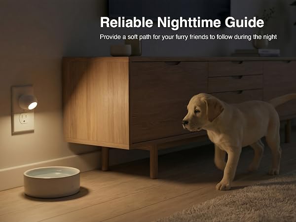 PREMIUM MINI MOBILE PET
