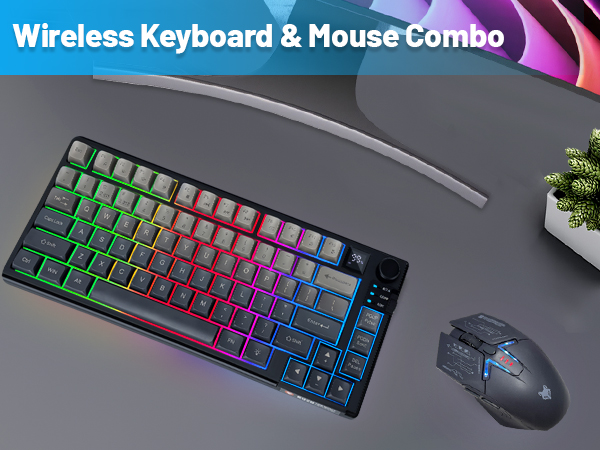 Wireless Keyboard & Mouse Combo