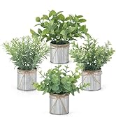 Mkono 4 Packs Small Fake Plants in Farmhouse Galvanized Pots Table Centerpiece Mini Potted Artifi...