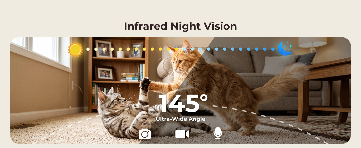 cat automatic feeders