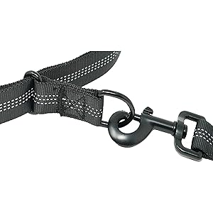 clasp