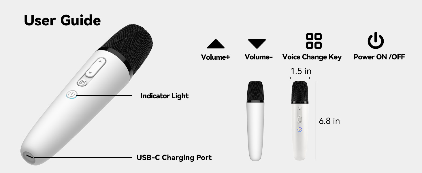 tesla car karaoke microphone for model y