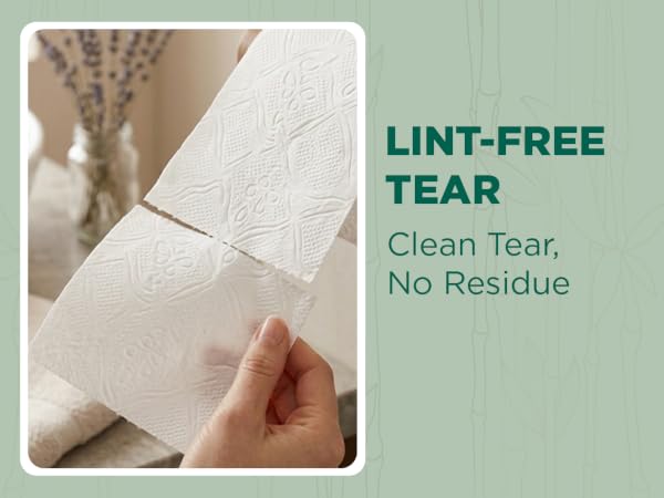 Eco Friendly Septic Safe Organic Bath Tissues Sustainable Toilet Paper Compostable - FSC Certified