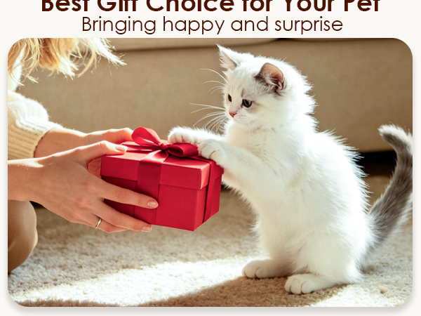 Interactive Cat Toys Rechargeable