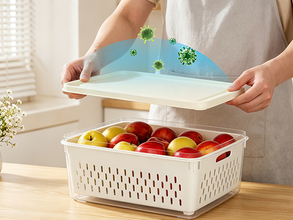 fresh fruit containers for fridge
