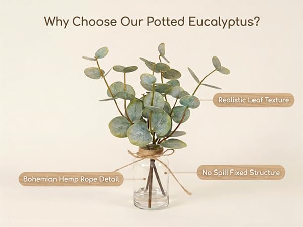 Double-Sided Green Eucalyptus