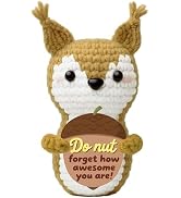 Class of 2026 Graduation Gifts, Handmade Encouragement Crochet Squirrel, Cute Fall Office Desk De...